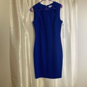 Calvin Klein Dress Size 8